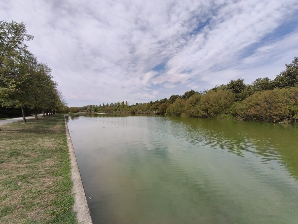 Fotografia scattata con Oppo Reno 16 F 5G che mostra la gestione del colore e del contrasto della fotocamera ultra-wide da 8 MP