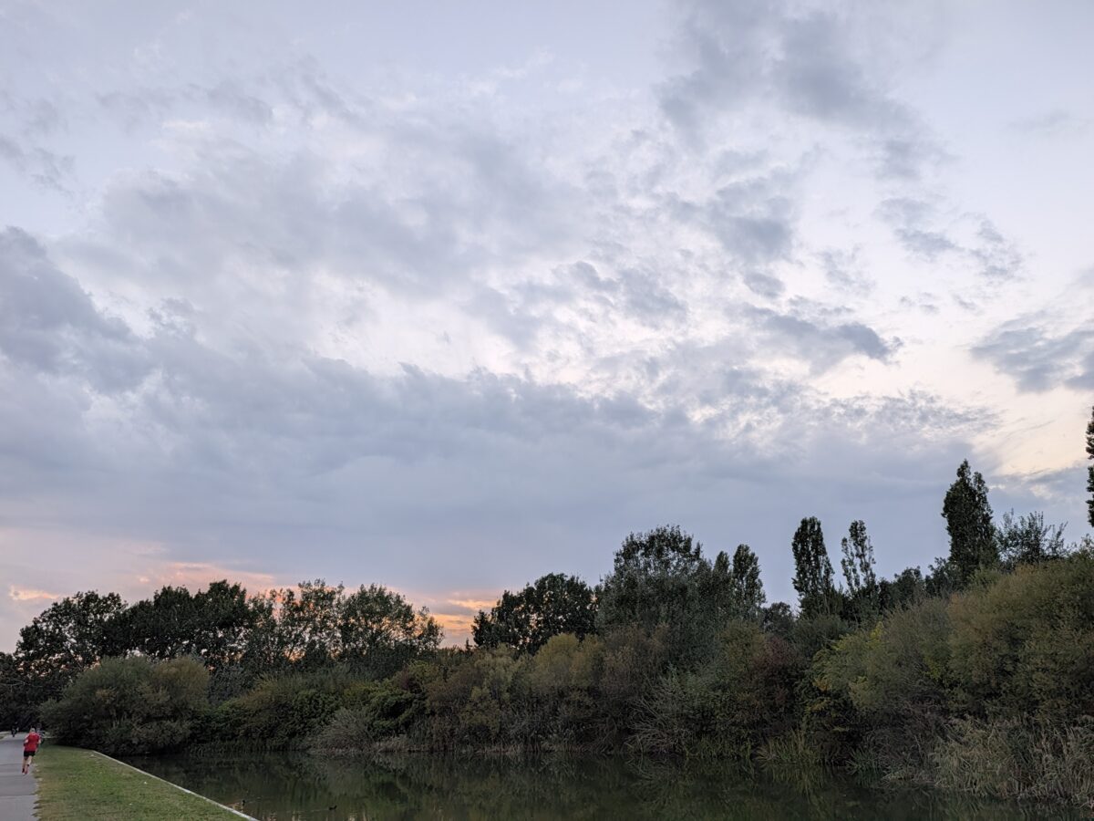 Fotografia scattata con Google Pixel 11 che mostra la gestione del colore e del contrasto della fotocamera principale da 48 MP.