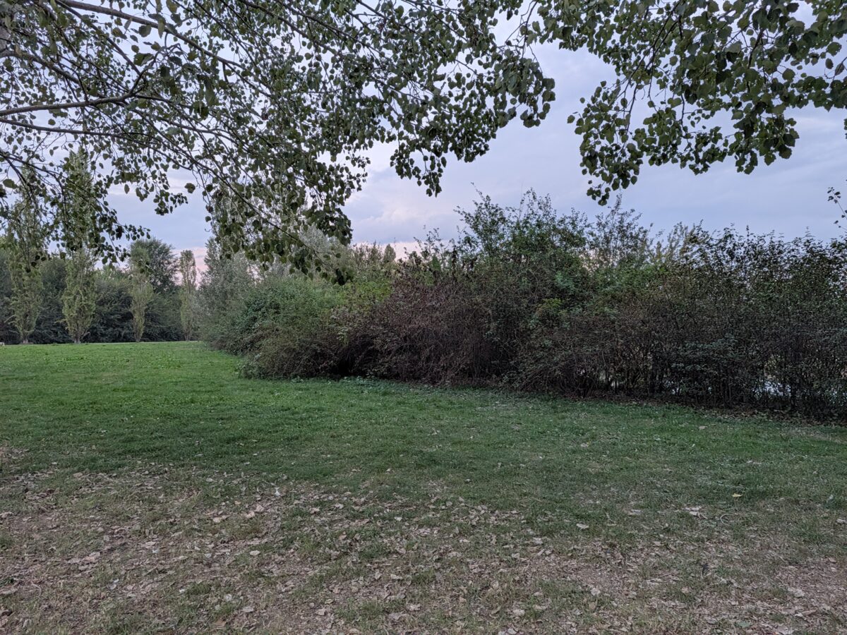Fotografia scattata con Google Pixel 11 che mostra la gestione del colore e del contrasto della fotocamera principale da 48 MP.