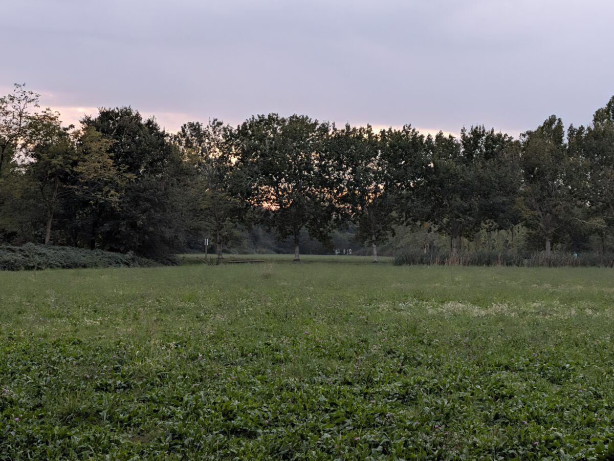 Fotografia scattata con Google Pixel 11 che mostra la gestione del colore e del contrasto della fotocamera principale da 48 MP.