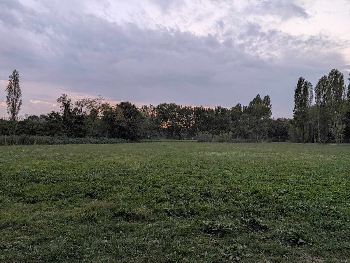 Fotografia scattata con Google Pixel 11 che mostra la gestione del colore e del contrasto della fotocamera principale da 48 MP.
