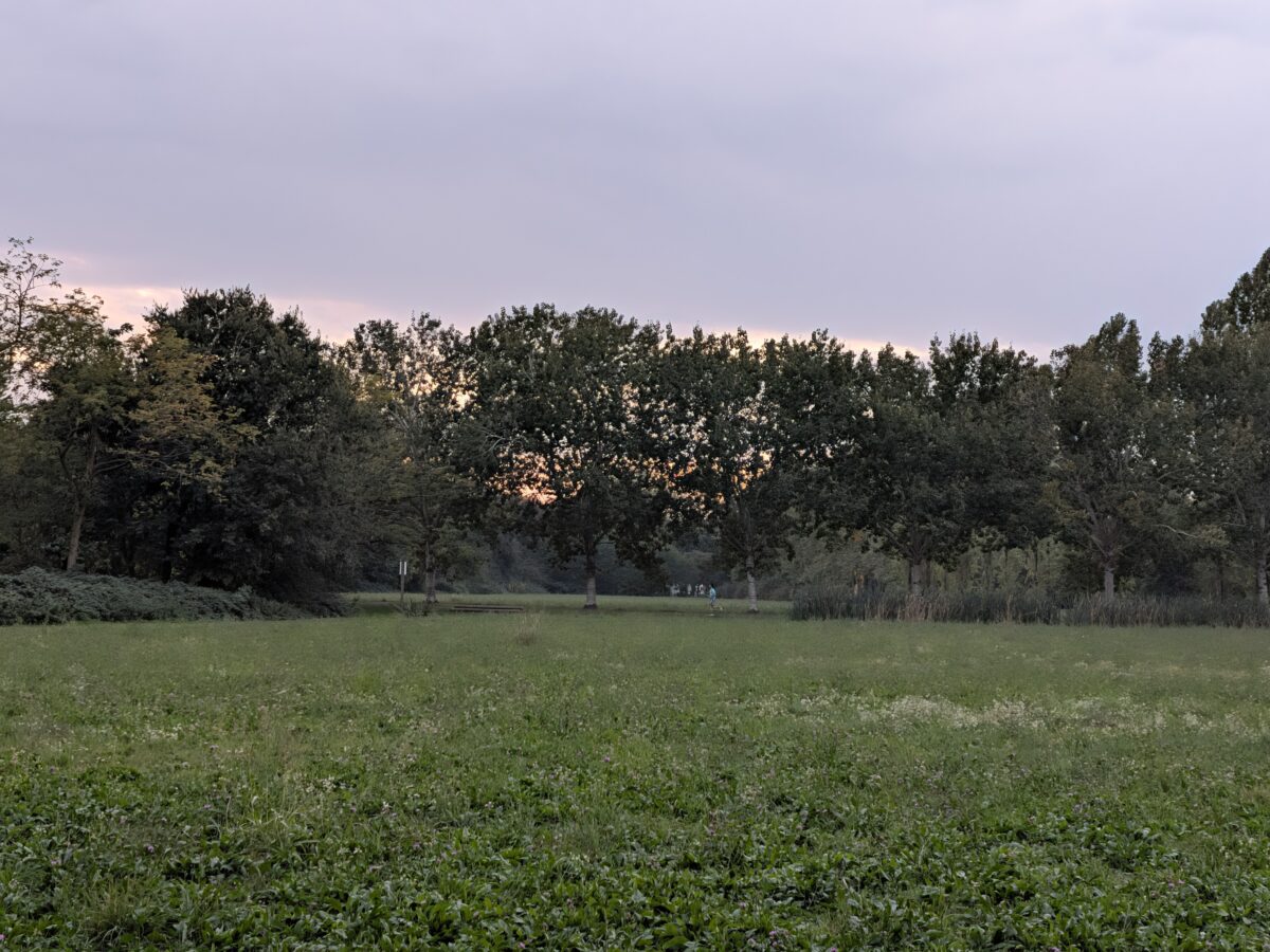 Fotografia scattata con Google Pixel 11 che mostra la gestione del colore e del contrasto della fotocamera principale da 48 MP.