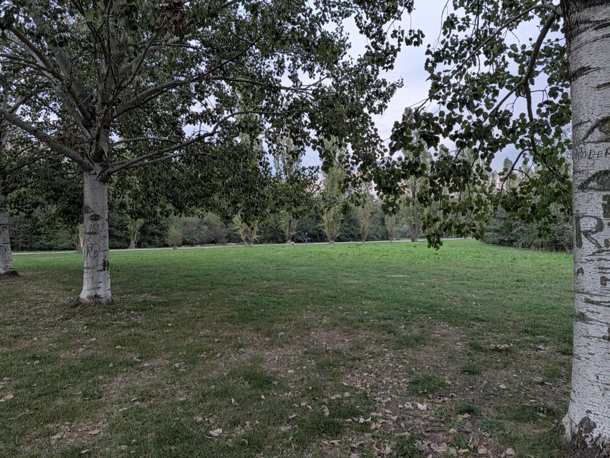 Fotografia scattata con Google Pixel 11 che mostra la gestione del colore e del contrasto della fotocamera principale da 48 MP.