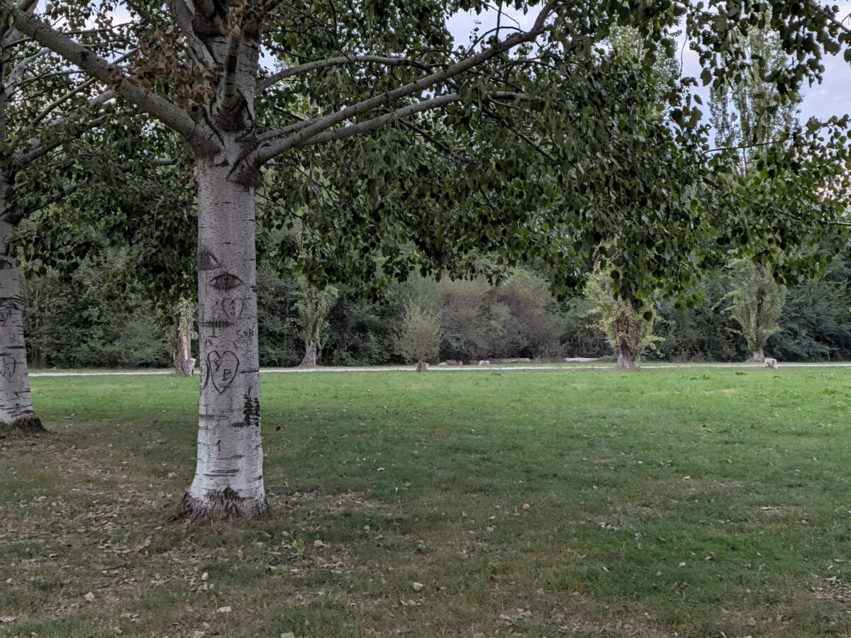 Fotografia scattata con Google Pixel 11 che mostra la gestione del colore e del contrasto della fotocamera principale da 48 MP.