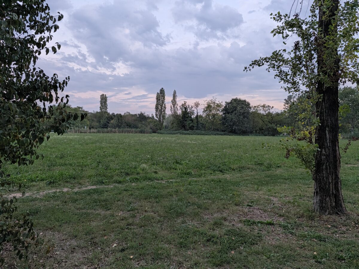 Fotografia scattata con Google Pixel 11 che mostra la gestione del colore e del contrasto della fotocamera ultra-wide da 13 MP.