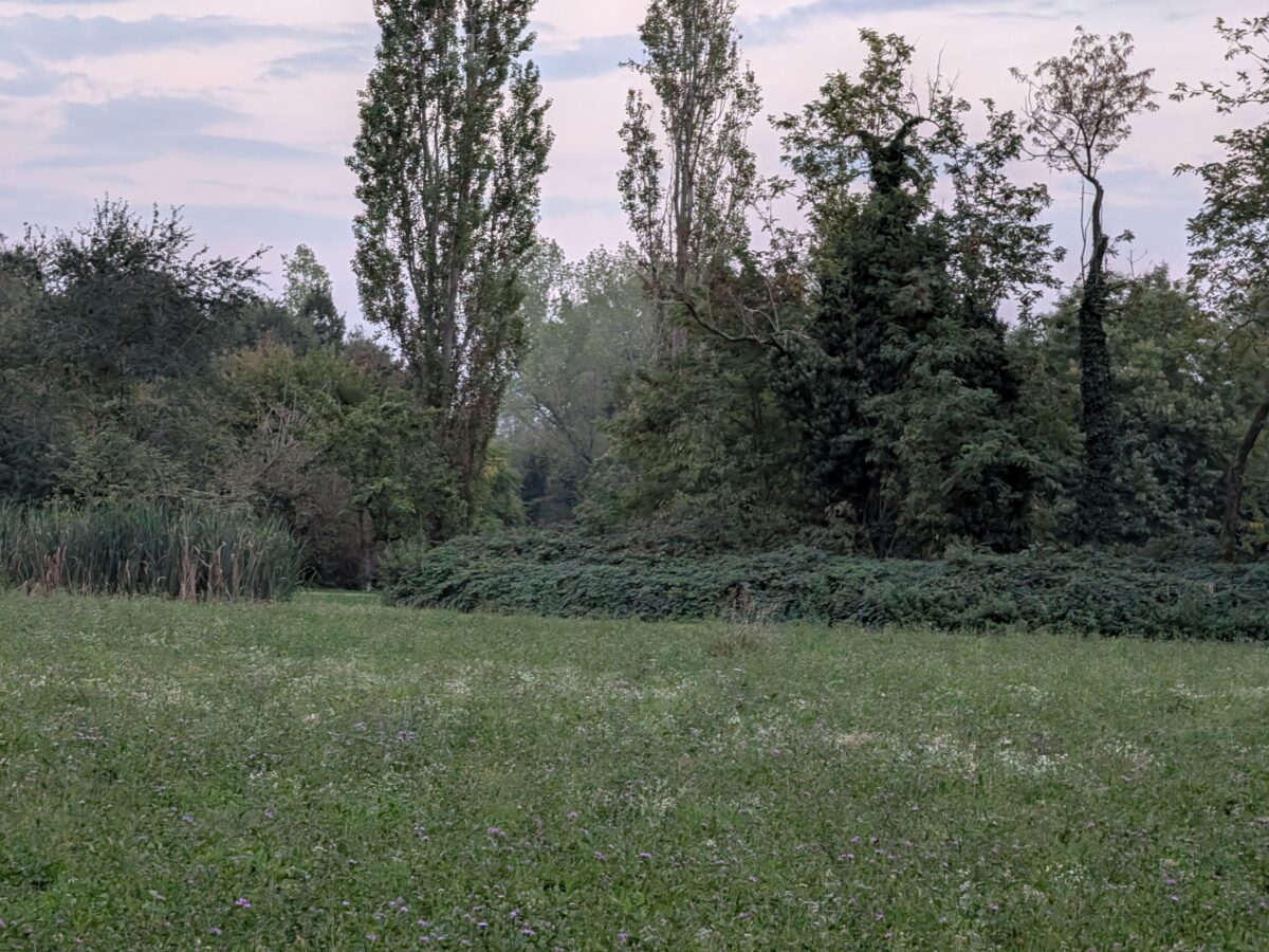 Fotografia scattata con Google Pixel 11 che mostra la gestione del colore e del contrasto del teleobiettivo da 10,8 MP