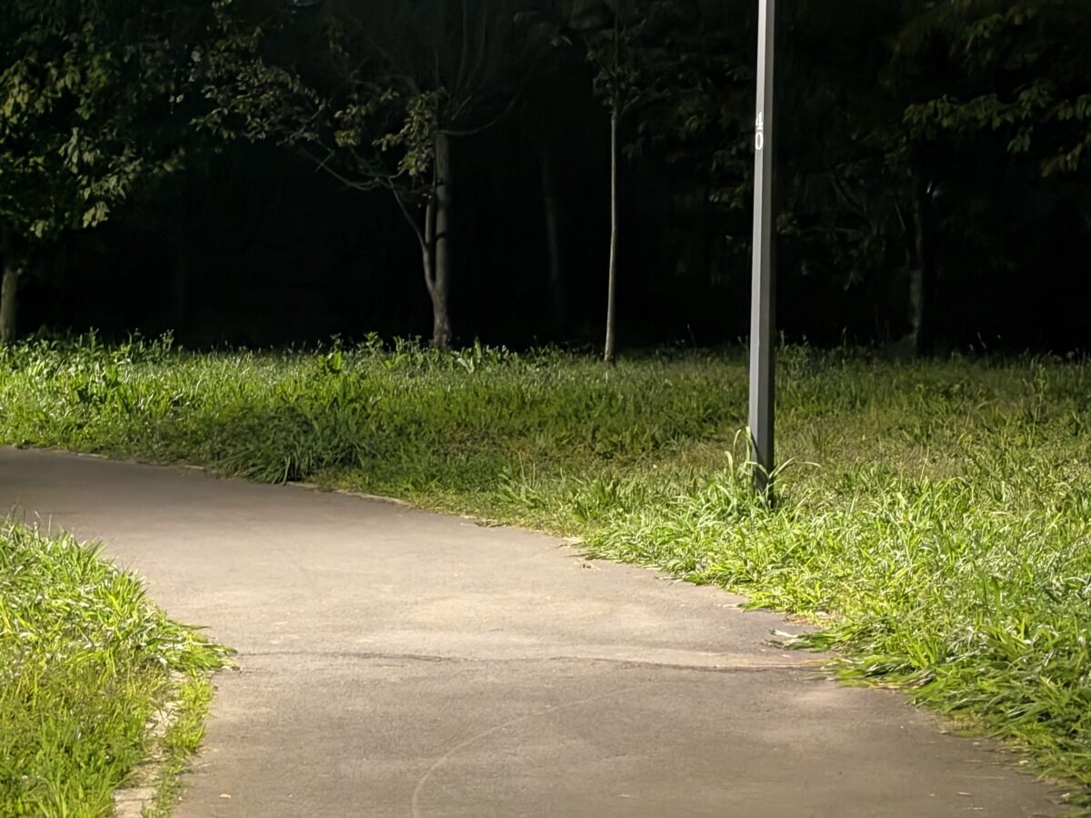 Fotografia scattata con Google Pixel 11 che mostra la gestione notturna del teleobiettivo da 10,8 MP