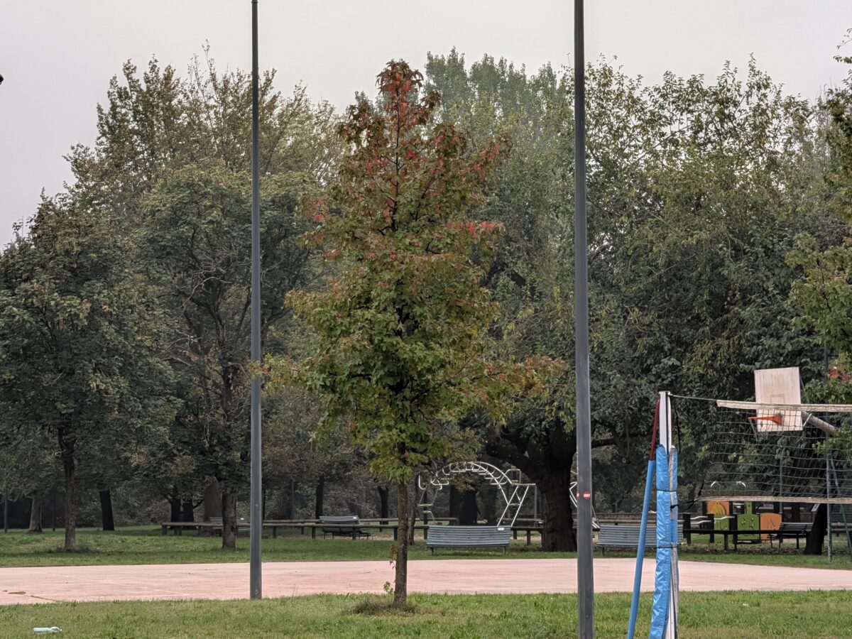 Fotografia scattata con Google Pixel 11 che mostra la gestione del colore e del contrasto della fotocamera principale da 48 MP.