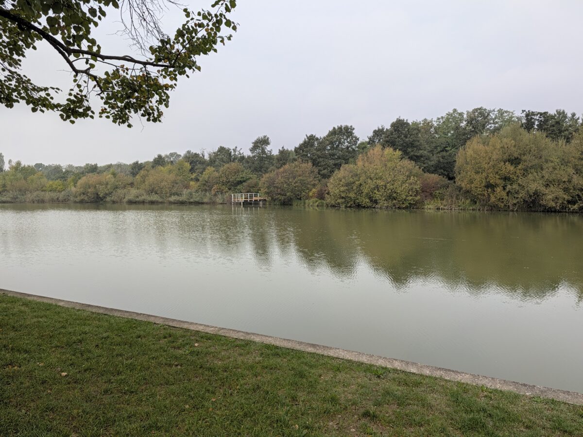 Fotografia scattata con Google Pixel 11 che mostra la gestione del colore e del contrasto della fotocamera principale da 48 MP.