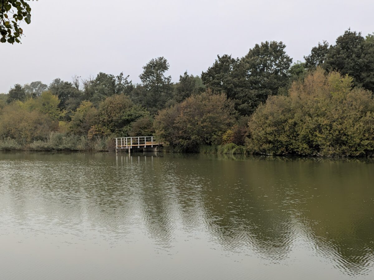 Fotografia scattata con Google Pixel 11 che mostra la gestione del colore e del contrasto della fotocamera principale da 48 MP.