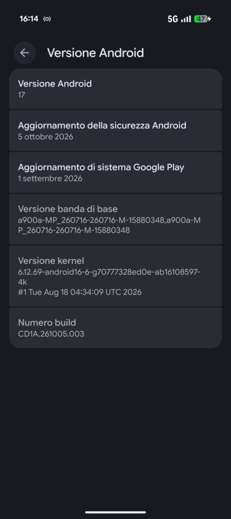 Screenshot dell'interfaccia di Google Pixel 11 con informazioni sulla versione software